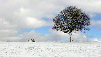 Copyright - Jean-Claude Gravegeat - Ciel d'hiver