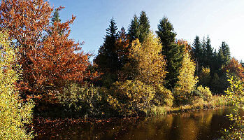 Copyright - Jean-Claude Gravegeat - Etang de la Baume