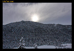 Copyright - Christophe Hierle - http://www.photos-lozere.fr/