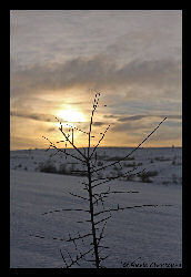 Copyright - Christophe Hierle - http://www.photos-lozere.fr/