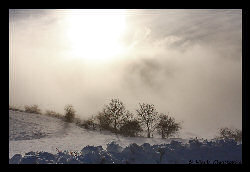 Copyright - Christophe Hierle - http://www.photos-lozere.fr/