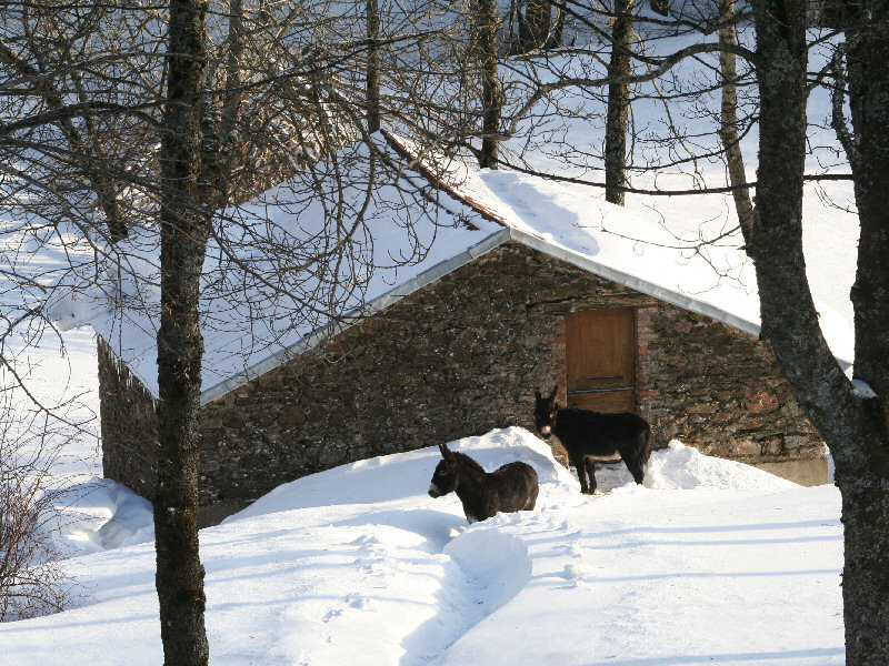 Votre carte postale de Loz�re