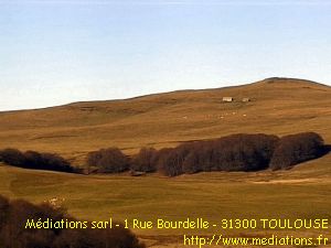 Aubrac