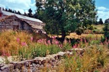 Le jardin de Jeanne Jouve - copyright Alain BONET