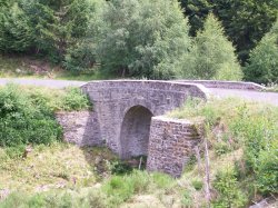 La fort de Mercoire - copyright Laurent Collet