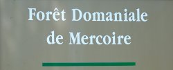 Forêt domaniale de Mercoire - copyright Laurent Collet