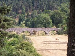 Saint Etienne de Lugdares - copyright Laurent Collet