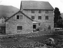 Le moulin en 1955 - collection particulire