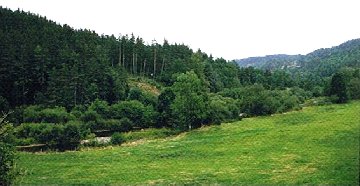 Vue sur la Truyre