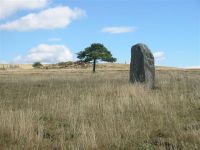 Menhir aux Bondons