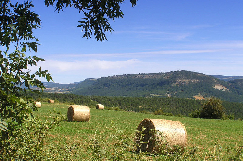 Votre carte postale de Lozre