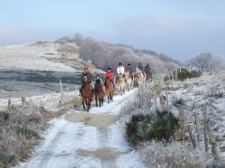 Cheval sous la neige - Grard Moisset