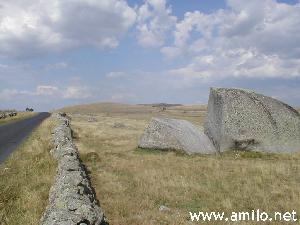 Aubrac