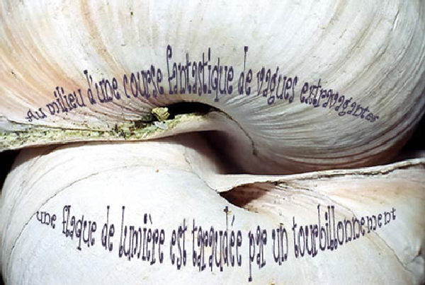 copyright Pierre Plagnes et Didier Bonnal