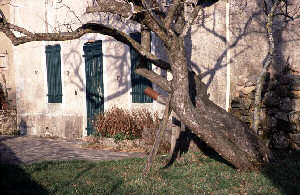 Maison : Montbel - copyright Pierre Plagnes et Didier Bonnal