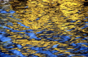 Reflets - copyright Pierre Plagnes et Didier Bonnal