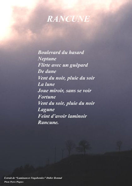 copyright Pierre Plagnes et Didier Bonnal