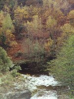 en Cvennes, prs de Saint-Hilaire de Lavit