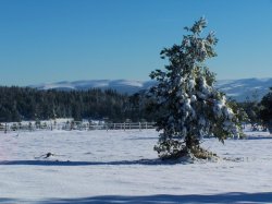 Loz'Hiver - Laurent COLLET pour AMILO