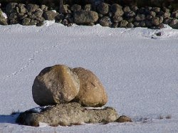 Loz'Hiver - Laurent COLLET pour AMILO