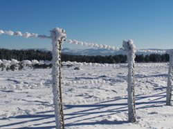 Loz'Hiver - Laurent COLLET pour AMILO