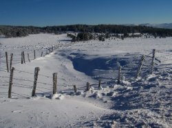 Loz'Hiver - Laurent COLLET pour AMILO