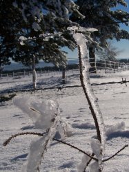 Loz'Hiver - Laurent COLLET pour AMILO