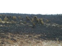 Incendie sur le Mjean - Laurent COLLET pour AMILO