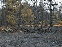 Incendie sur le Mjean - Laurent COLLET pour AMILO