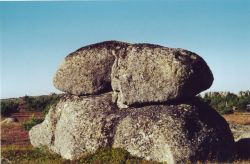 Grosses bogues aux chataignes de pierre