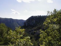 Les gorges de la Jonte - Laurent COLLET pour AMILO