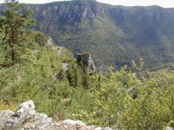 Les gorges de la Jonte - Laurent COLLET pour AMILO