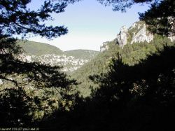 Les gorges de la Jonte - Laurent COLLET pour AMILO